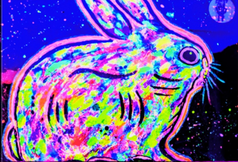 Cuadro Decorativo Neon - Conejo