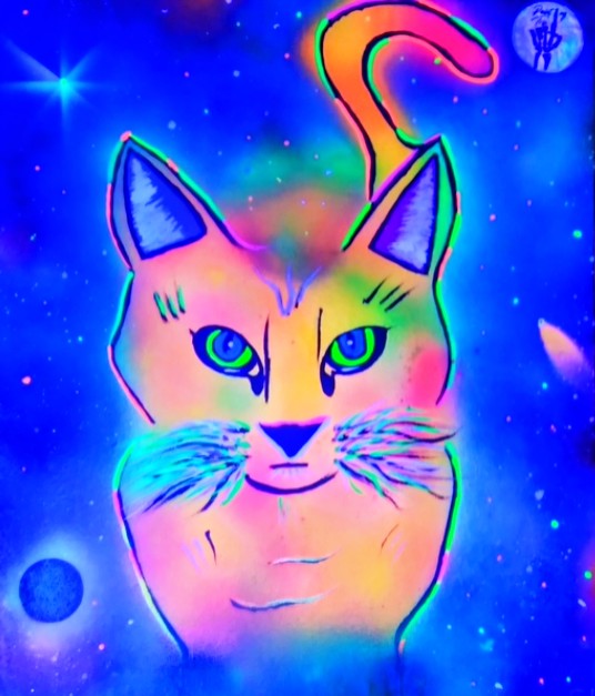 Cuadro decorativo - Gato Galactico