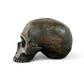 Skull 1