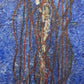 SEVEN BLUE JELLYFISH