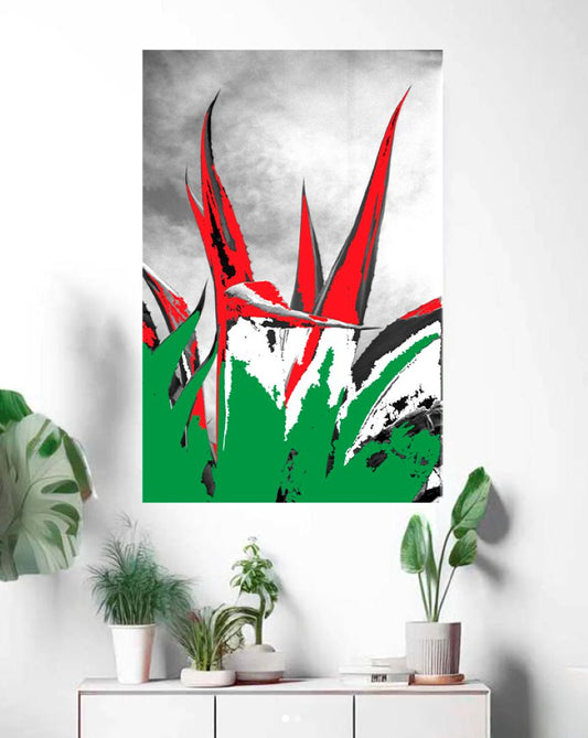 TRICOLOR