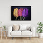 TULIPANES