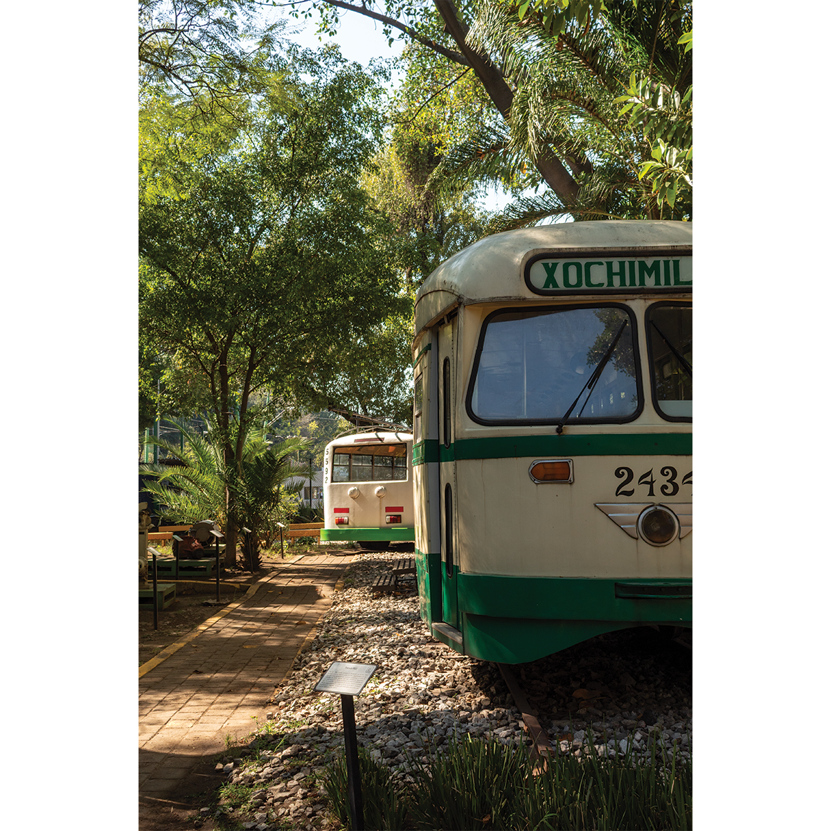 México - Autobuses del Distrito Federal