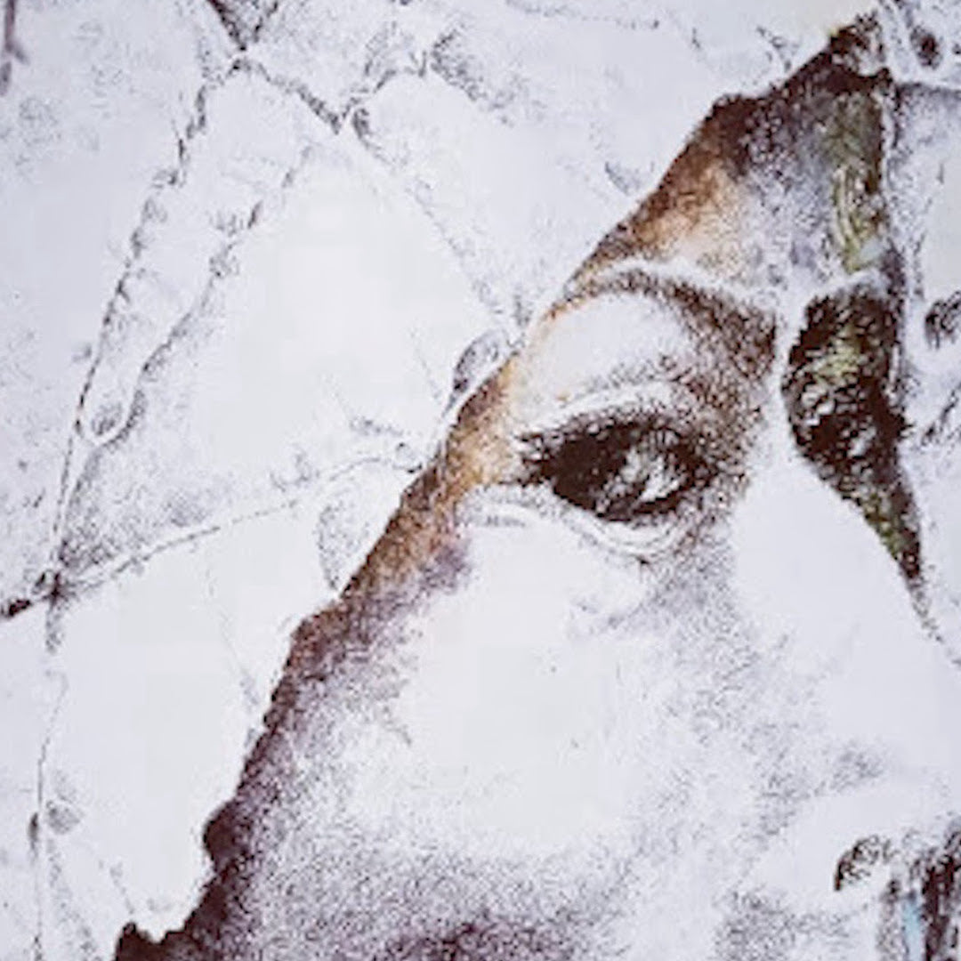 Obra de arte original - Visitante