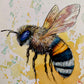 Abeja