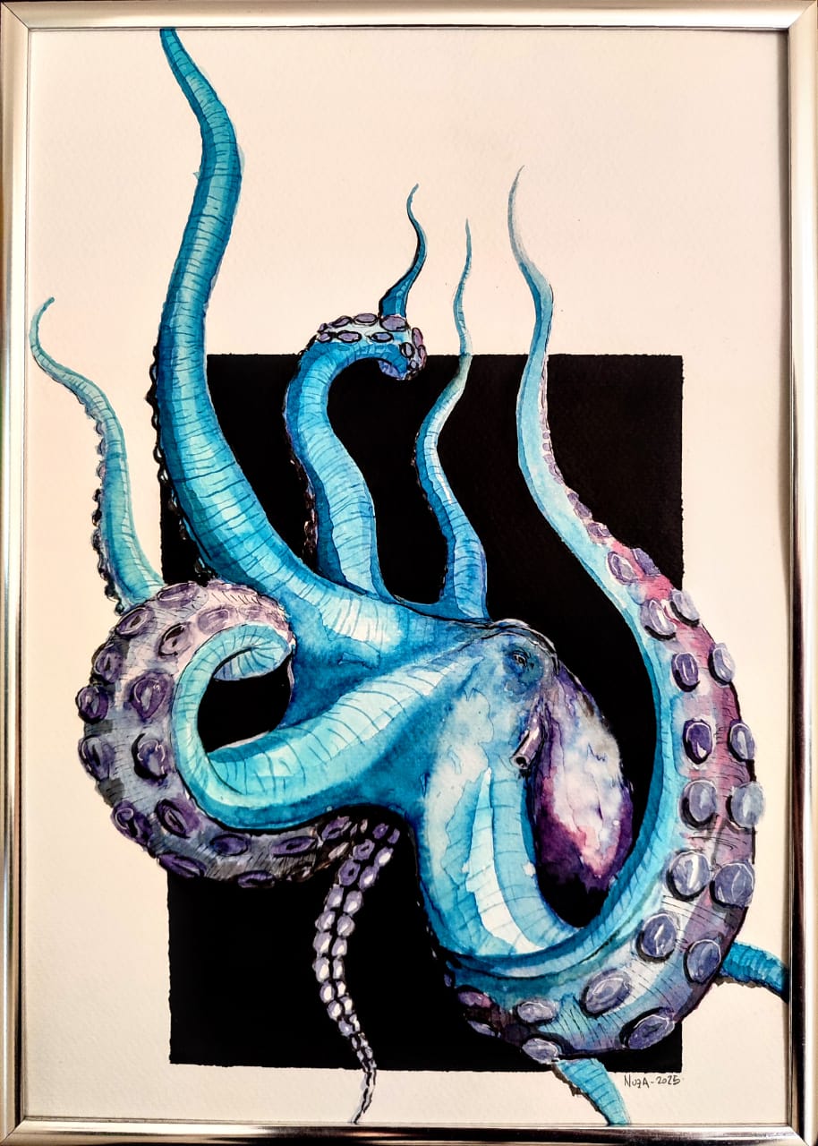 Pulpo