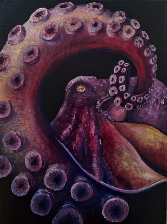 Pulpo II