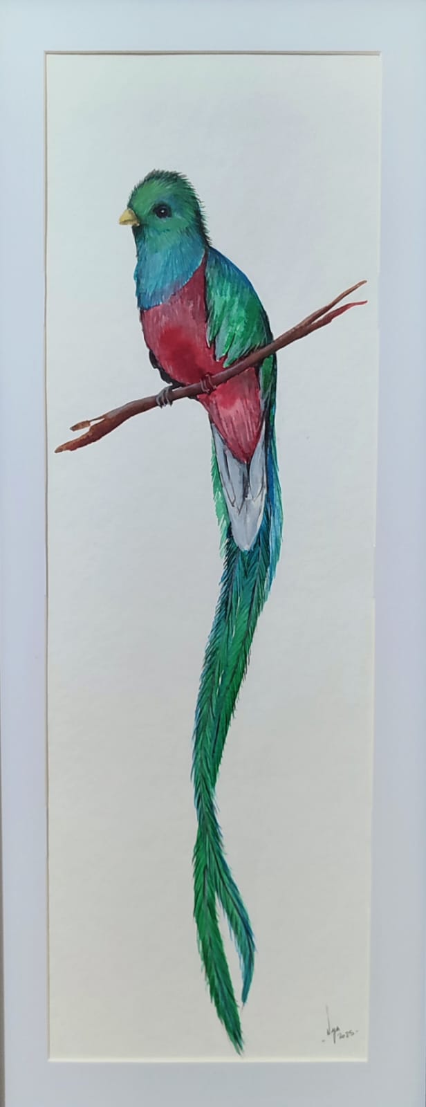 Quetzal