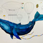 Ballena IV