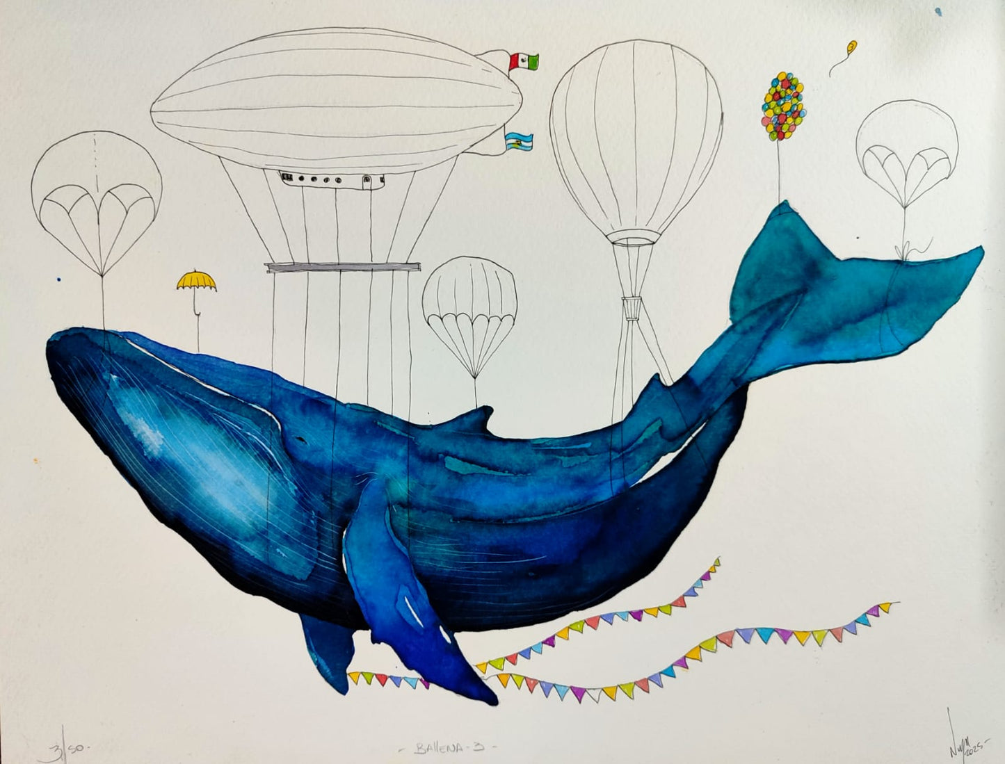 Ballena IV
