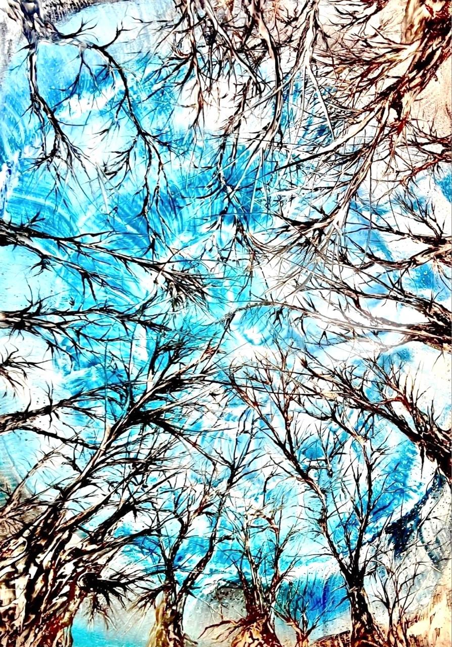 "Vibraciones Celestiales"