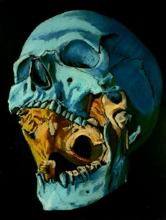Cráneo 1