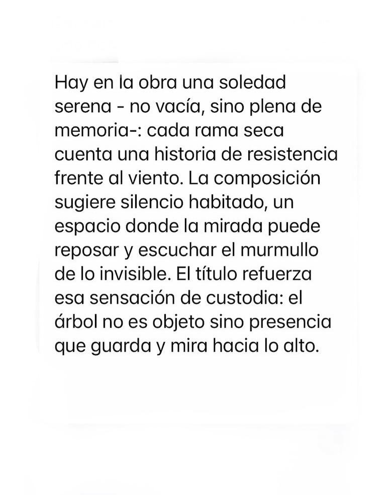 "Guardián de Cielos"