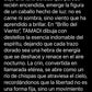 "Brillo del Viento"