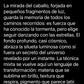 "Brillo del Viento"