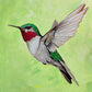 Obra original- Colibrí