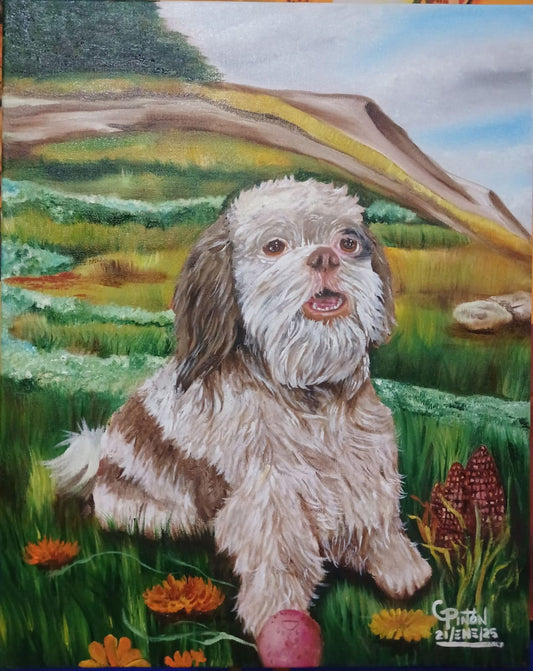 Cuadros Personalizados - Gamaliel Pareyon