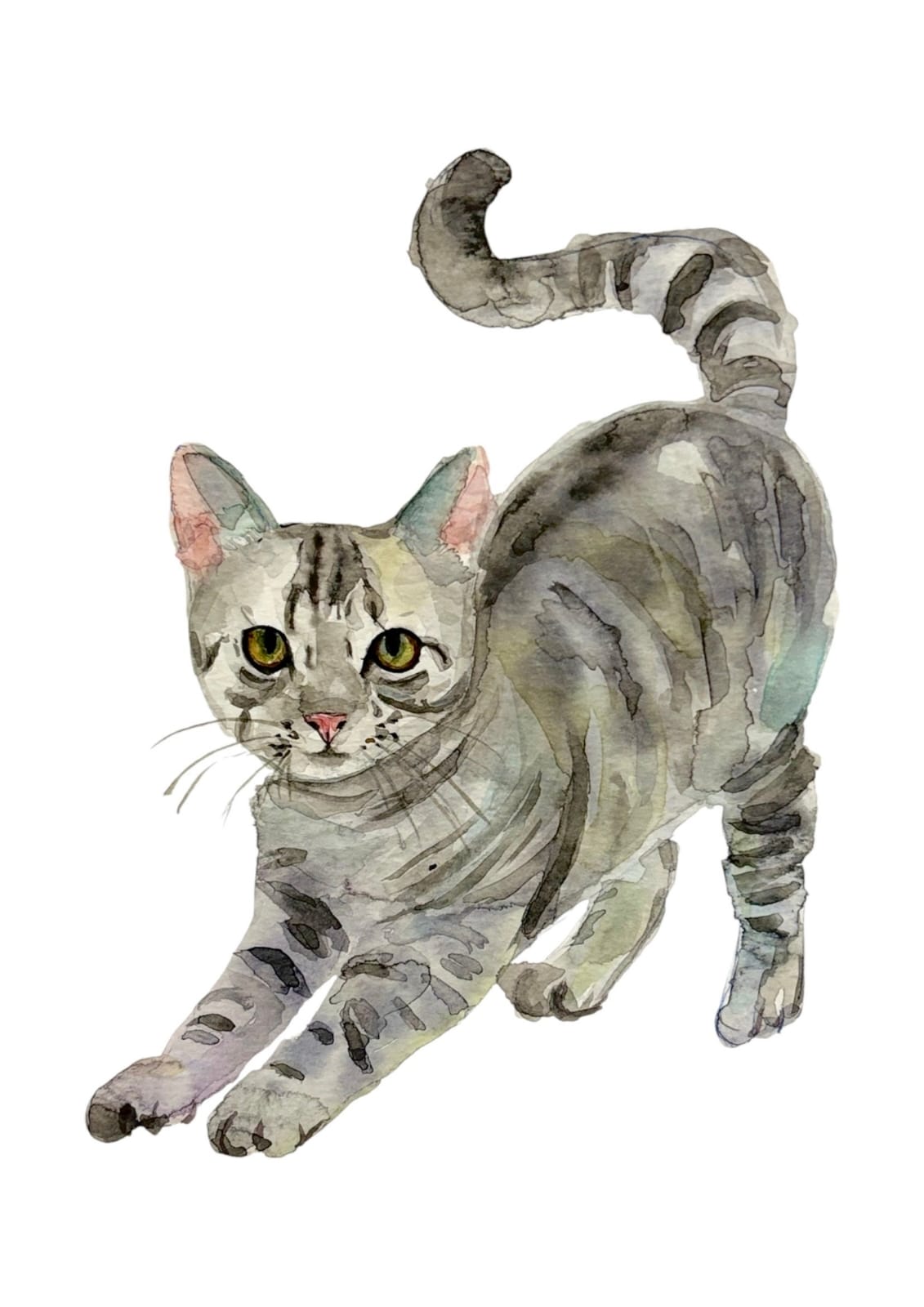 Cuadro Decorativo - Gato en movimiento