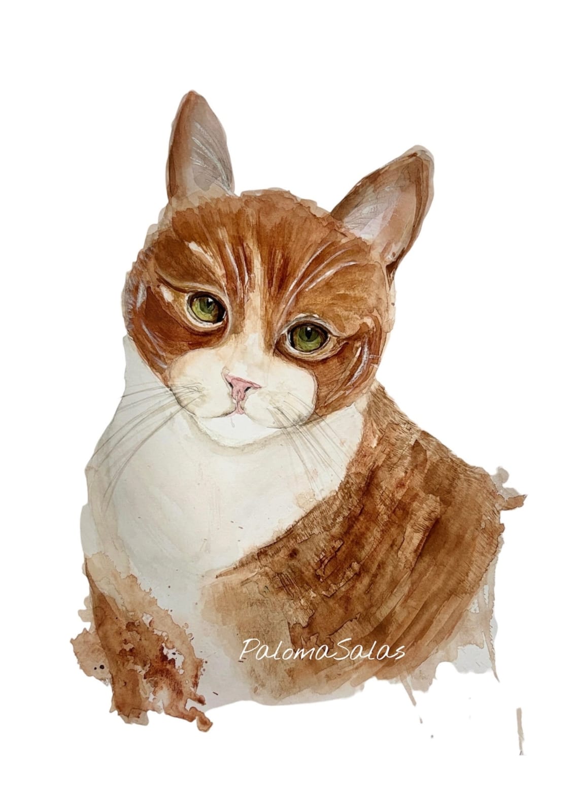 Cuadro Decorativo - Mirada Felina