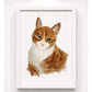 Cuadro Decorativo - Mirada Felina
