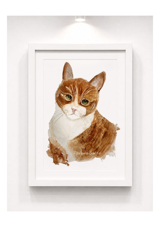 Cuadro Decorativo - Mirada Felina
