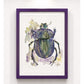 Cuadro Decorativo -Escarabajo iridiscente