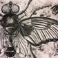 Arte decorativo - Metamorphóō