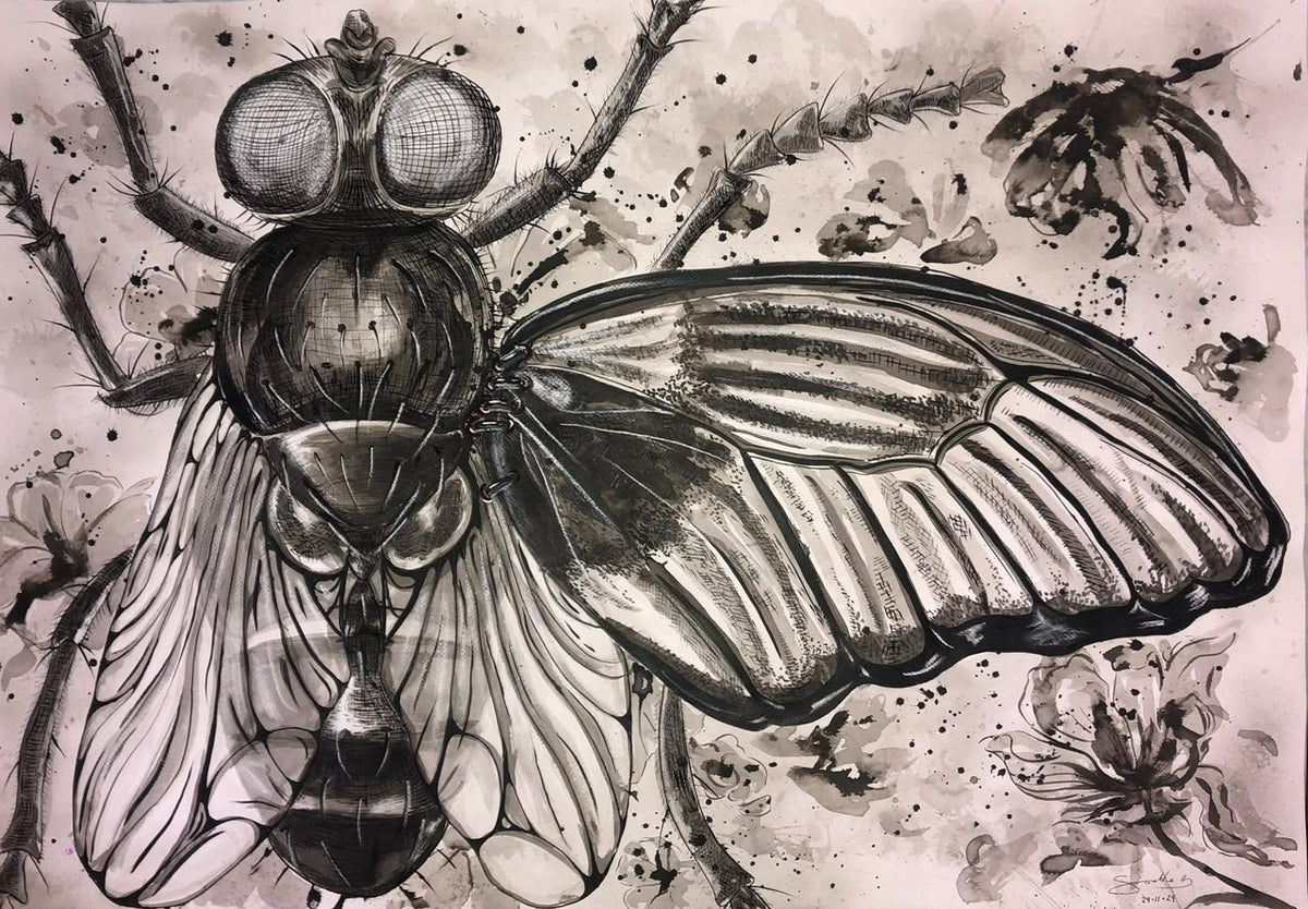 Arte decorativo - Metamorphóō