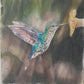 Obra de Arte Original - Colibrí