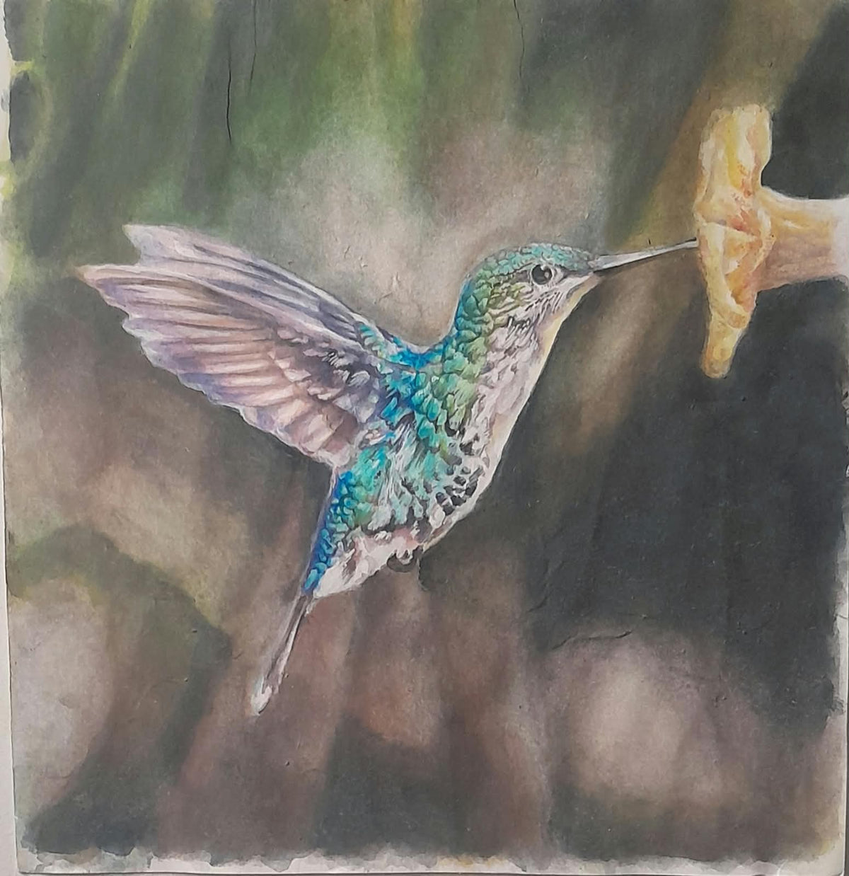 Obra de Arte Original - Colibrí