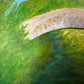 Paisaje con puente