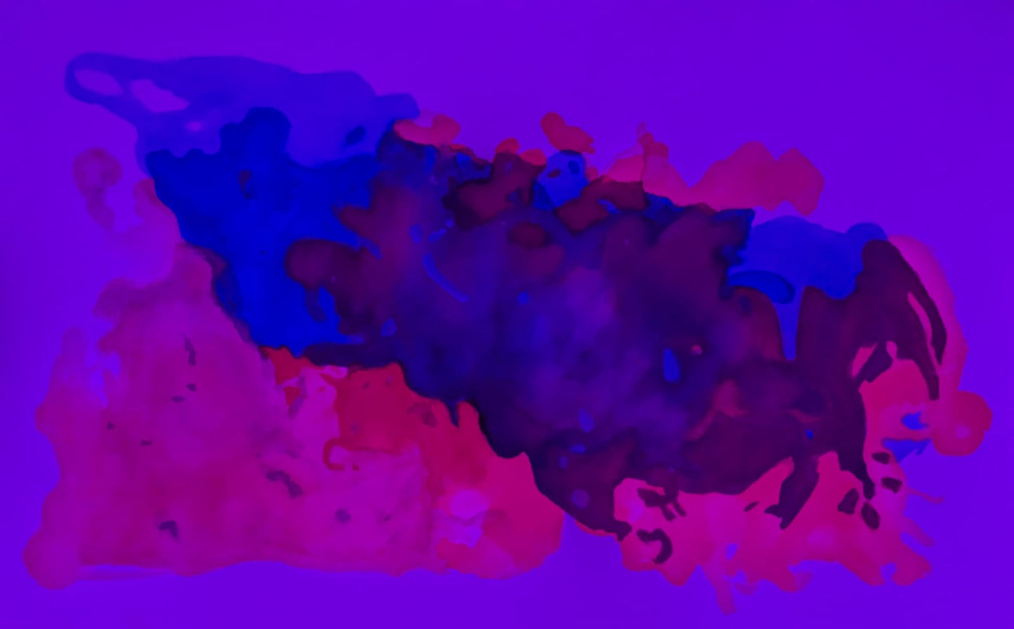 Pintura contemporánea - Metamorfosis