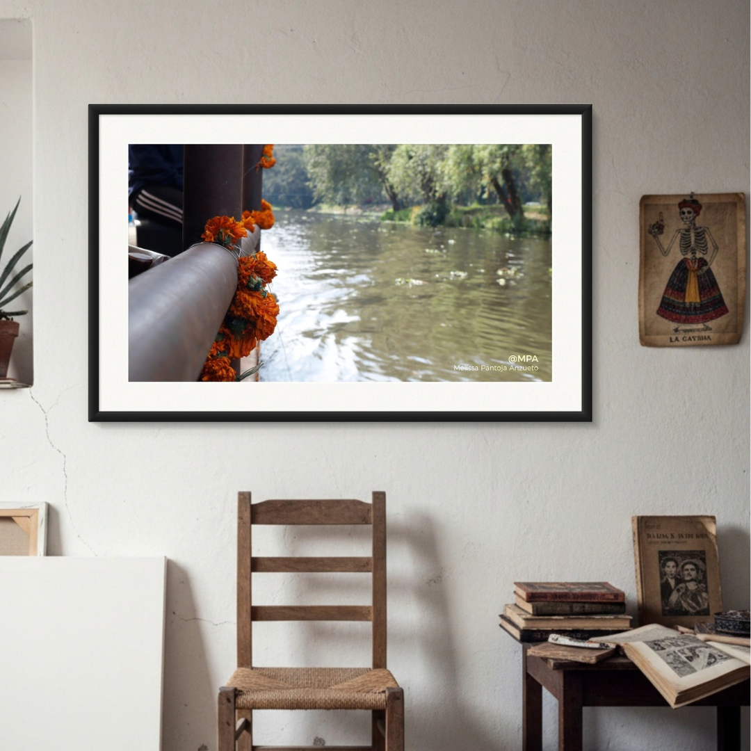 Fotografía de naturaleza — ¡Ya vienen!