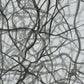 abstracto