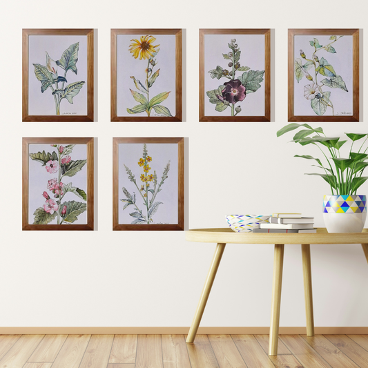 Colección de acuarelas