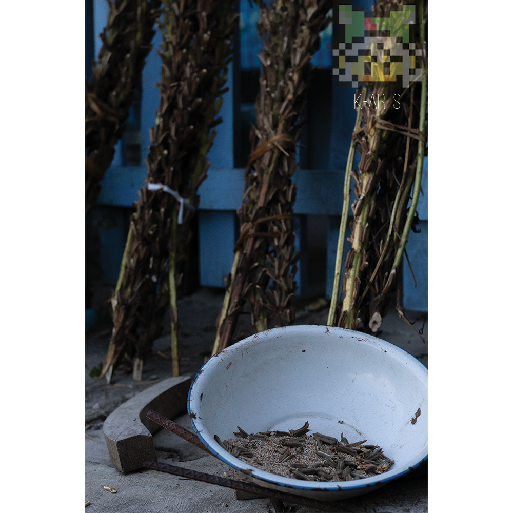 ¿De donde viene el Ajonjolí?