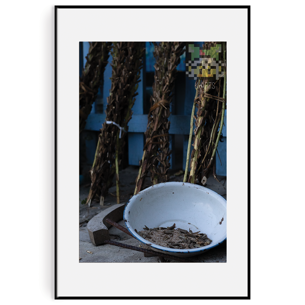 ¿De donde viene el Ajonjolí?