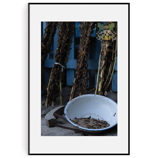 ¿De donde viene el Ajonjolí?