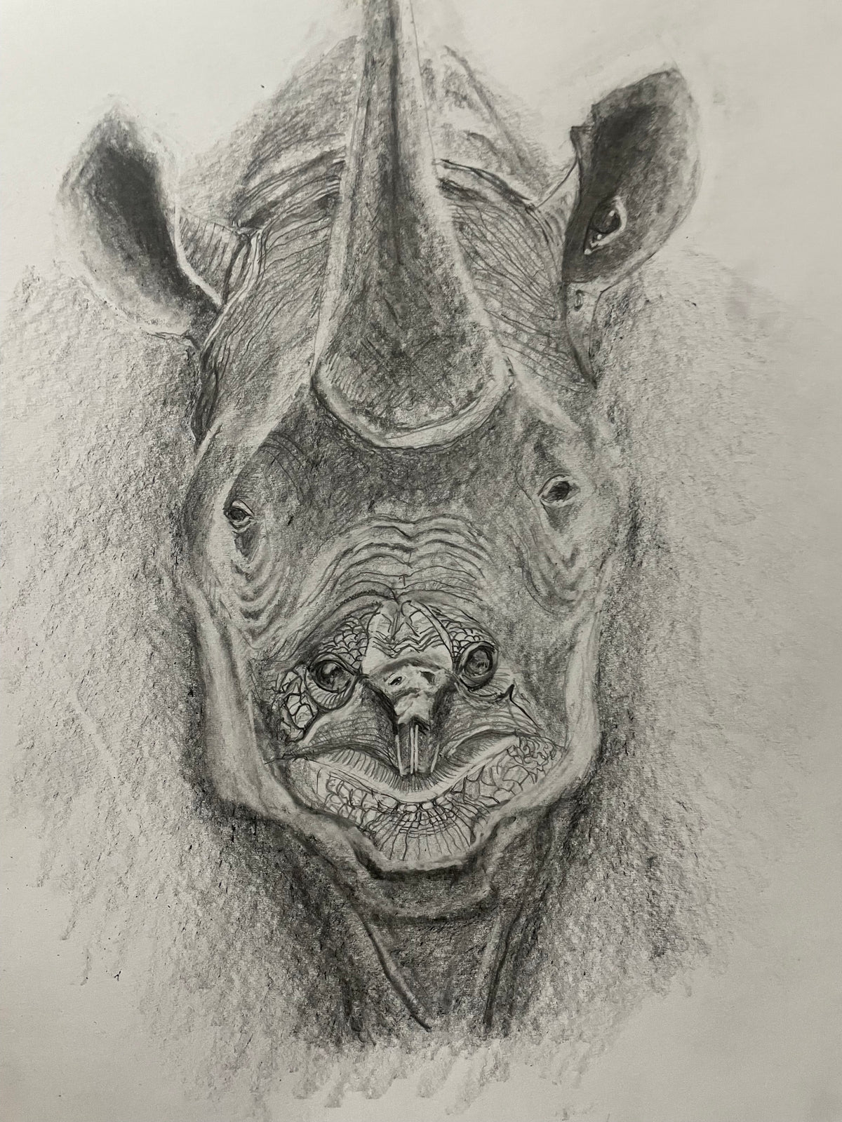 TorRhino