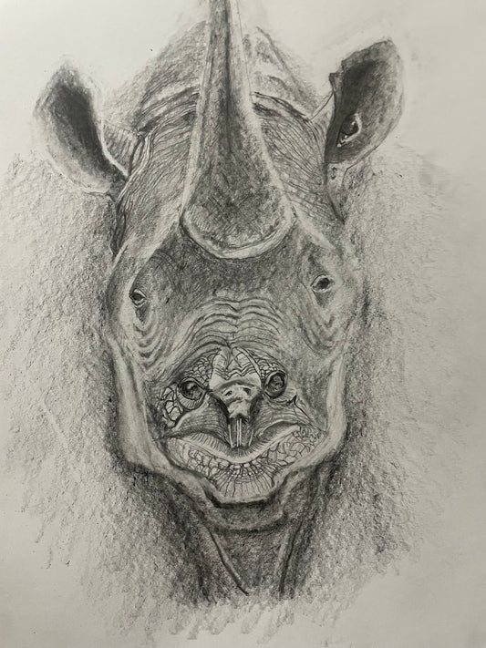 TorRhino