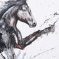 CABALLO Passant