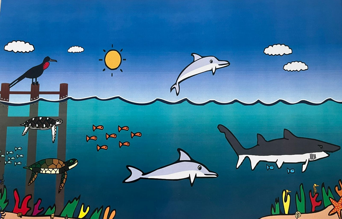 Vida marina del caribe