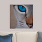 Cuadro artístico - Cat Eye