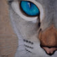 Cuadro artístico - Cat Eye