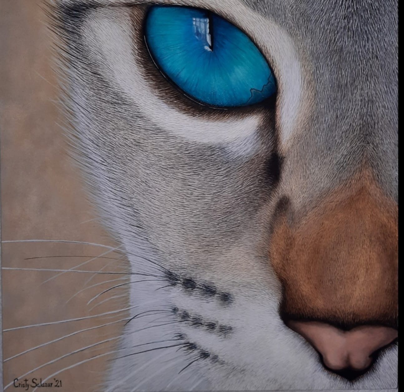 Cuadro artístico - Cat Eye