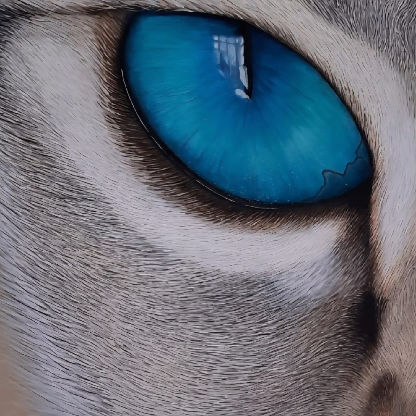Cuadro artístico - Cat Eye