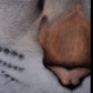 Cuadro artístico - Cat Eye