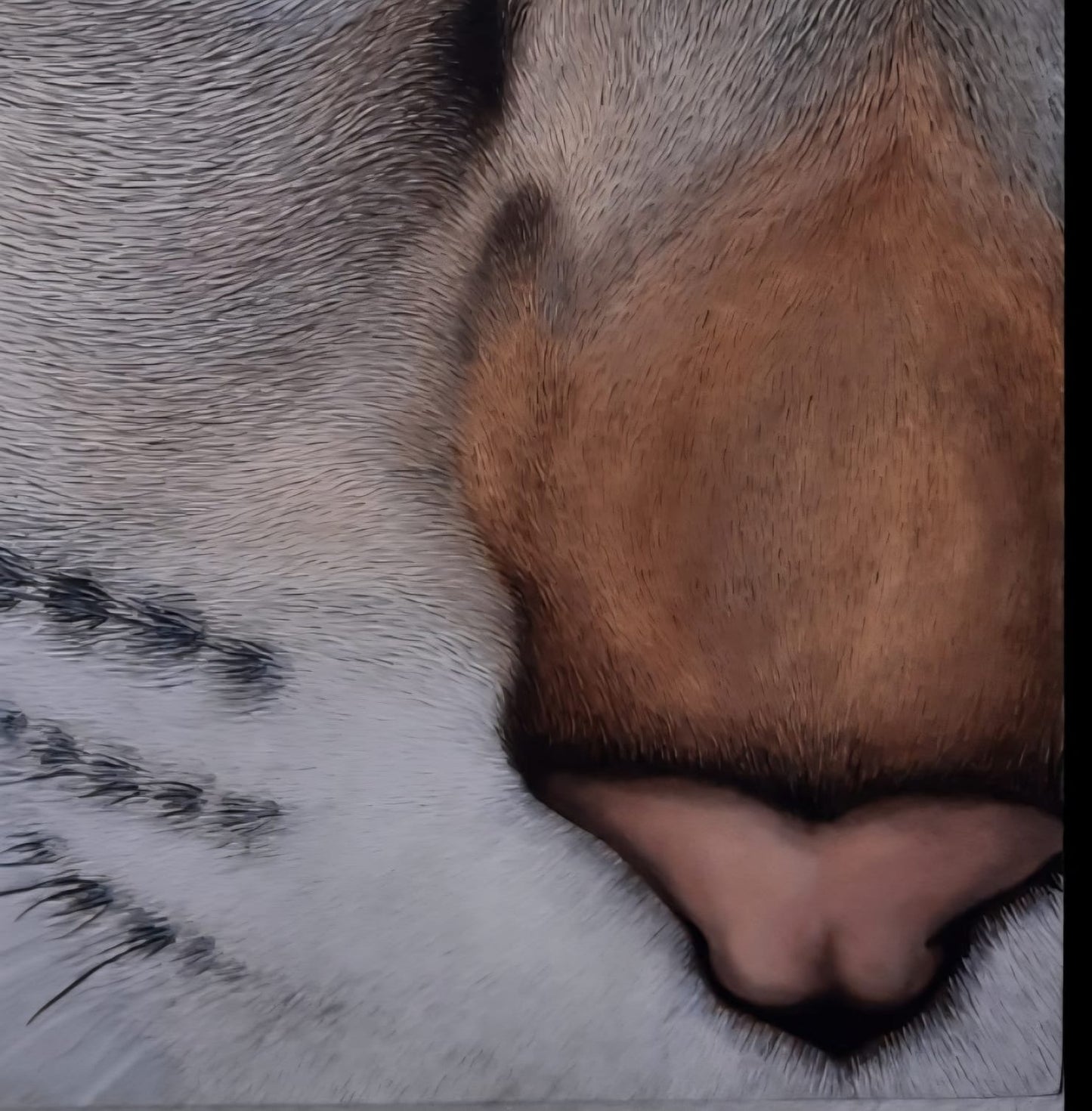Cuadro artístico - Cat Eye