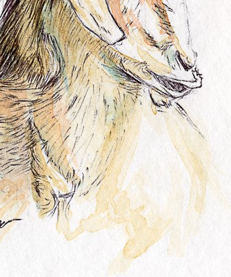 Arte gráfico contemporáneo -Chivito