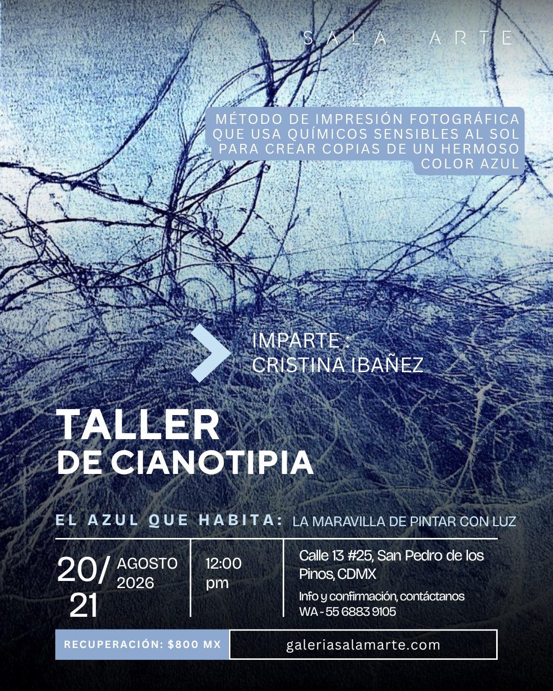 Cianotipia Taller | Azul que habita